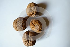 Top view of four ripe brown rounded fruits of Persian walnut