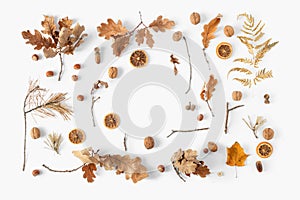 Top view frame dried leaves white background Autumn fall flat lay