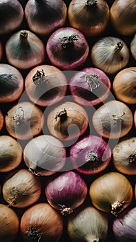 Top view fresh big yellow onions at grocery, culinary photo