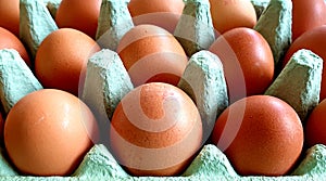 Top view of fresh brown eggs laid in a egg box. Diet, protein and health concept