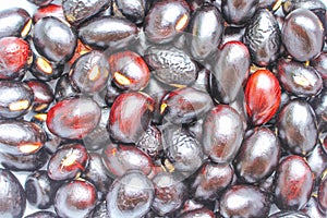 Top view fresh chestnuts or sterculia monosperma on background