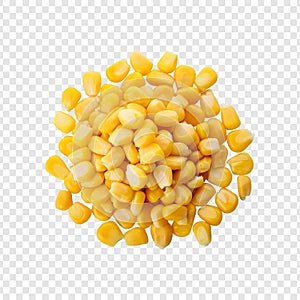 Top view of fresh corn seeds on transparent background photo