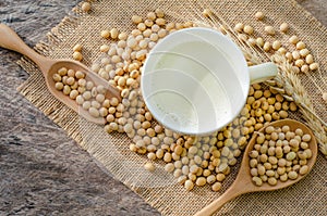 Top view of fresh delicious homemade soybean milk in soft yellow cup with dry soybean seeds on grunge background