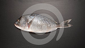 TOP VIEW: Fresh Dorade fish on black table