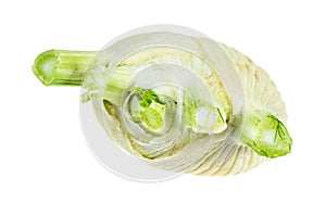 top view of fresh Florence fennel stalk cutout