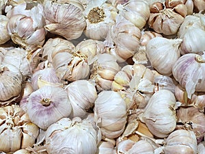 Top view of fresh garlics as a background for salr in the market