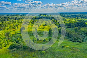 Top view of fresh green color fields