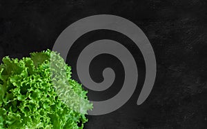 Top view of fresh green salad lettuce on black textured background