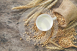 Top view of fresh homemade soybean milk in soft yellow cup with dry seeds in sack and wooden background with dry wheat ear