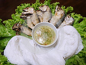 Top view of fresh mackerel on white plate ready to cooking in restaurant