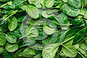 Top view on fresh organic spinach leaves