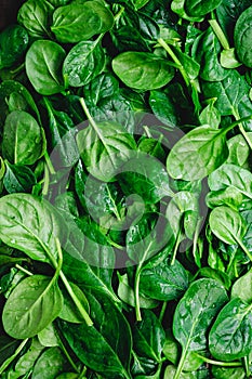 Top view on fresh organic spinach leaves