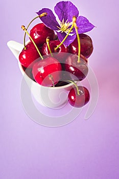 Top view of cherries with a purple flower in a white cup on purple background