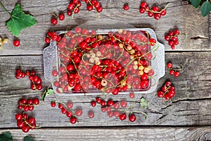 Top view Fresh red current berries with water drops on the metal tray on the rustic wooden table. Summer vegitarian diet. Farmer h