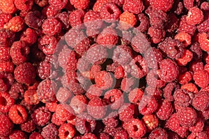 Top view fresh red raspberries, background.