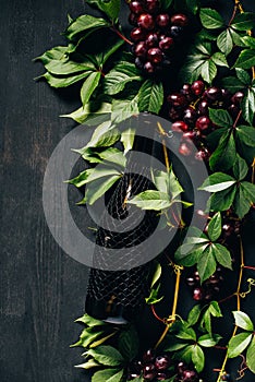 top view of fresh ripe grapes green leaves and bottle of wine on black wooden background