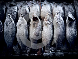 Top view of fresh sea bass fish on table ice display for sale at fresh market.