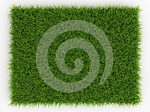 Top view of Fresh Spring Green Grass - natural background