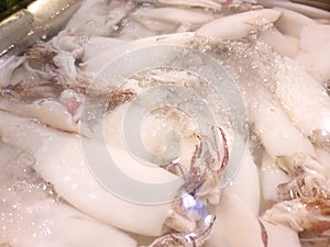 Top view of fresh squid on ice for sale in the fish market at Thailand