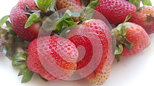 Top view of fresh strawberries in plate on rustic white wood background