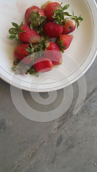 Top view of fresh strawberries in plate on rustic white wood background