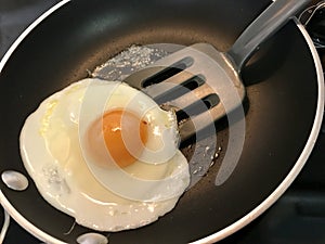 top view of fried egg