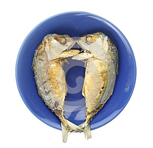 Top view of fried mackerel fish on blue dish isolted on white