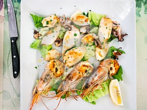 top view of fried prawns and squids on white plate photo