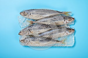 top view frozen brown-striped mackerel scads on blue background