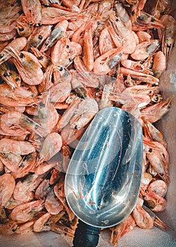 Top view of frozen prawns and metal scoop in market. Deepfrozen pink shrimps, vertical orientation photo