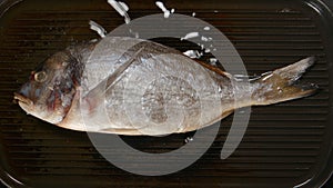 TOP VIEW: Frying Dorade fish on a pan