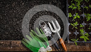 Top view garden tools on the ground.