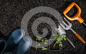 Top view garden tools on the ground.