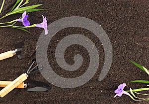 Top view of gardening tools and beautiful flower on soil. Agriculture background concept with copy space. World envionment day