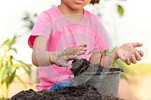 Top view girl`s hand He was putting the black soil in a bag to plant the seedlings. to grow Put a bag of black soil with tree