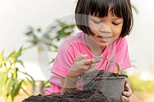 Top view girl`s hand He was putting the black soil in a bag to plant the seedlings. to grow Put a bag of black soil with tree