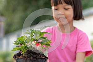 Top view girl`s hand He was putting the black soil in a bag to plant the seedlings. to grow Put a bag of black soil with tree