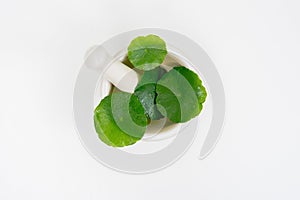 Top view glass beaker containing water and Centella asiatica decorated with erlenmeyer flask and round podium