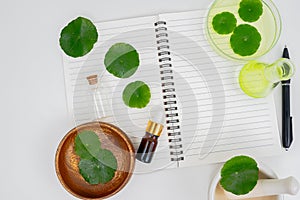 Top view glass beaker containing water and Centella asiatica decorated with erlenmeyer flask and round podium