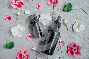 Top view of glass bottles of geranium essential oil with fresh flowers and petals over gray