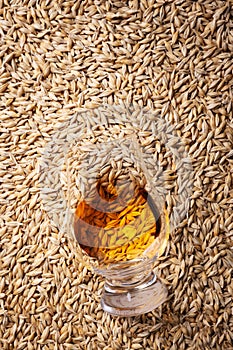 Top view of a glass of whiskey lying on a pile of barley grains