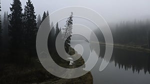 Top view of gloomy forest with river and fog. Clip. Mystical dark forest with river and thick fog. Creepy landscape with