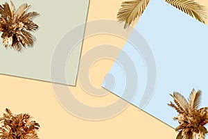 Top view of golden tropical leaves and shadow on pastel brown color background. Flat lay. Minimal summer concept with palm tree le