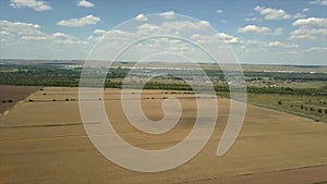 Top view of Golden wheat field