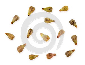 Top view of grape seed isolated on white background