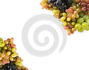 Top view. Grapes on white background. Grapes with copy space for text. Blue, red and green grapes.