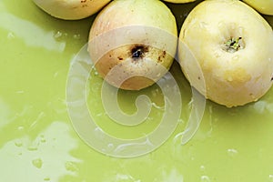 Top view of green apples of pero bravo esmolfe species washed with fresh water on a green plate