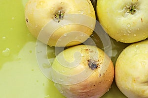 Top view of green apples of pero bravo esmolfe species washed with fresh water on a green plate photo