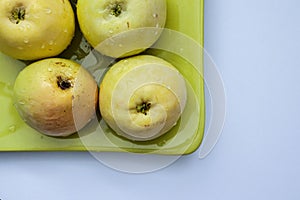 Top view of green apples of pero bravo esmolfe species washed with fresh water on a green plate photo