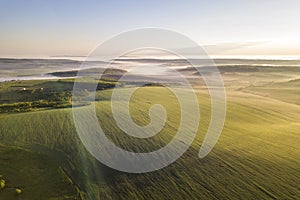 Top view of green cultivated hills and green trees in foggy valley. Spring misty landscape panorama at dawn